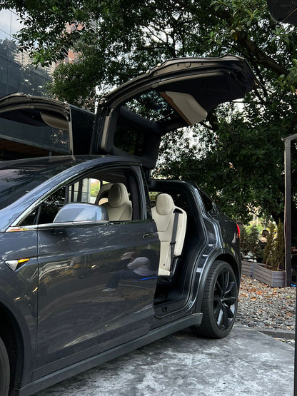 Tesla Model X Long Range Plus 2021