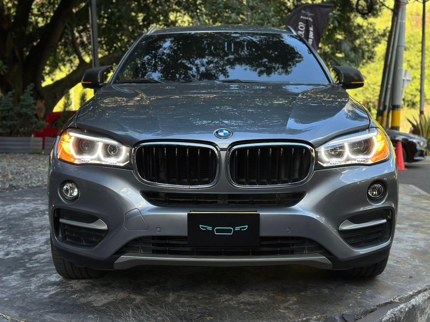 Bmw X6 Xdrive 30D 2017