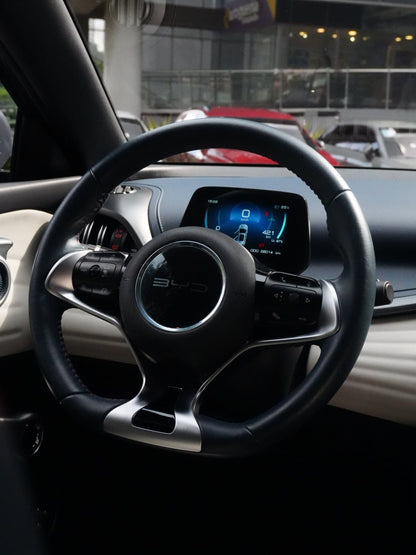 BYD Yuan Plus Ev 2024