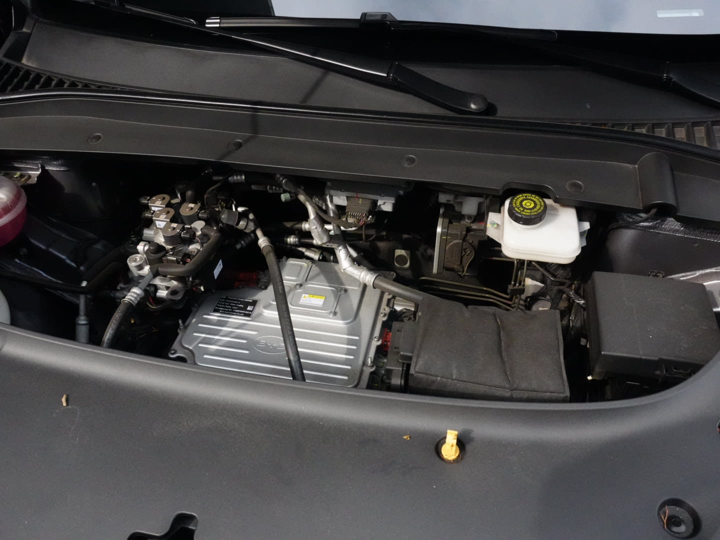 BYD Yuan Plus Ev 2024