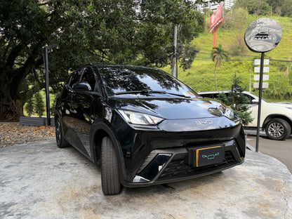 BYD Seagull Ev 2025