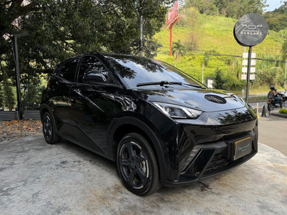 BYD Seagull Ev 2025