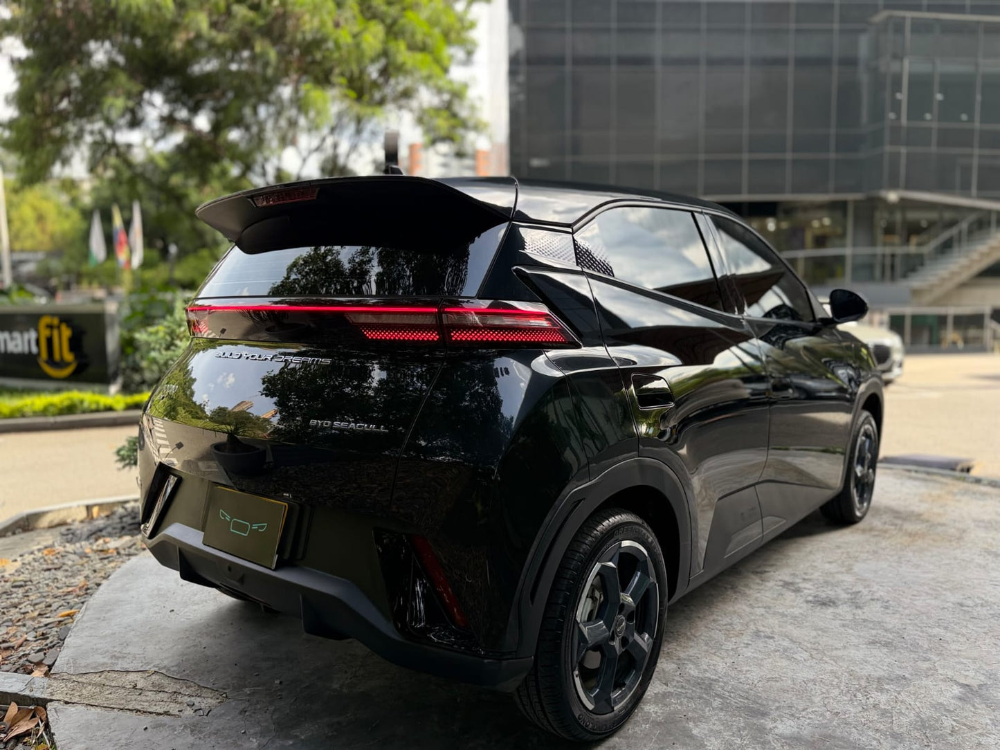 BYD Seagull Ev 2025