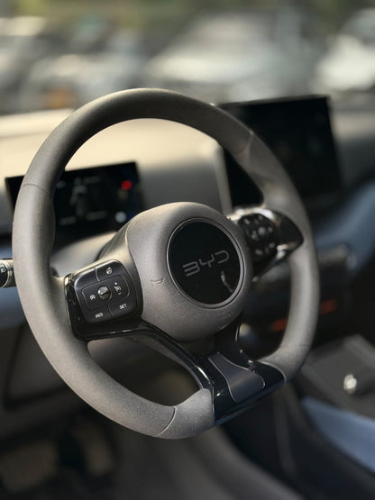 BYD Seagull Ev 2025