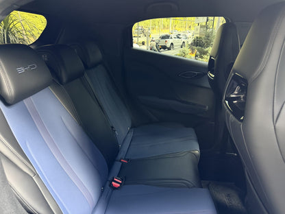 BYD Seagull Ev 2025