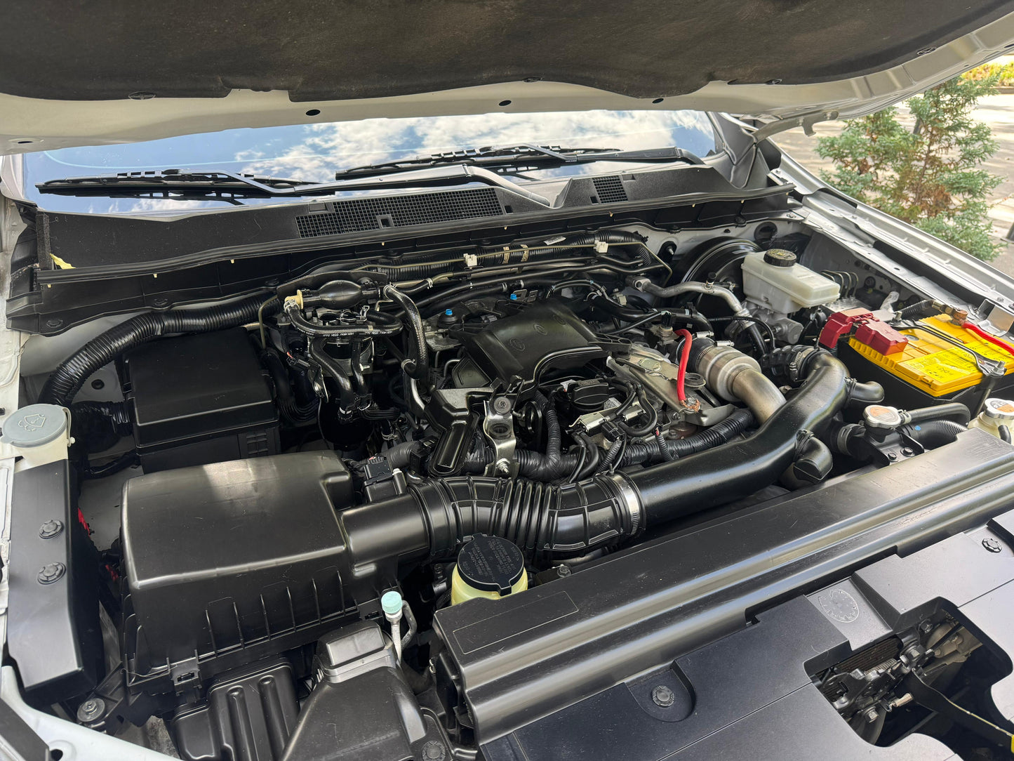 Nissan Frontier XE 2022 Salvamento Sura